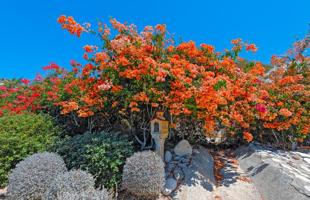 Appartamento Adamou Gardens Paphos Esterno foto